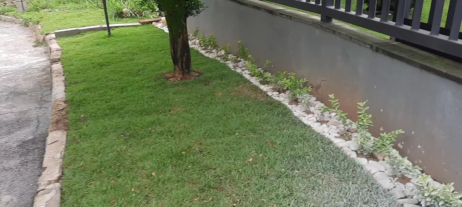 Jardim residencial após retrofit