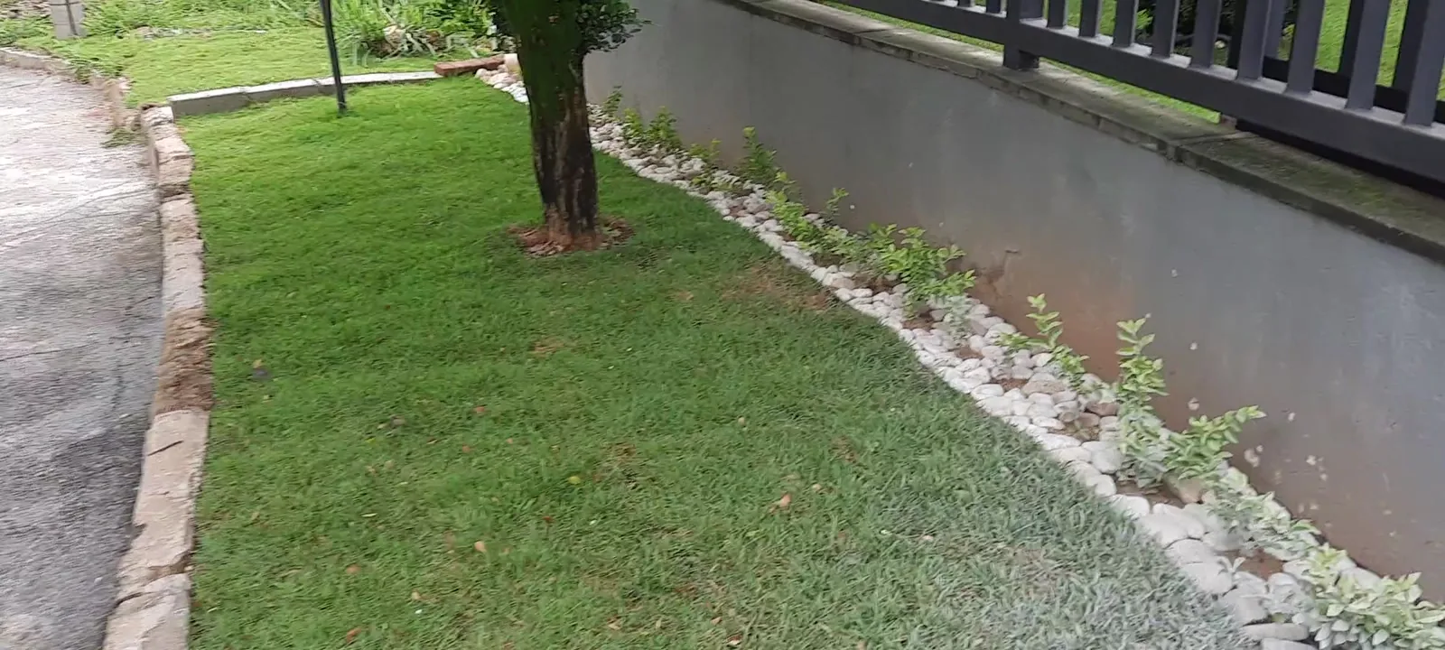 Jardim com borda de seixos e vegetação