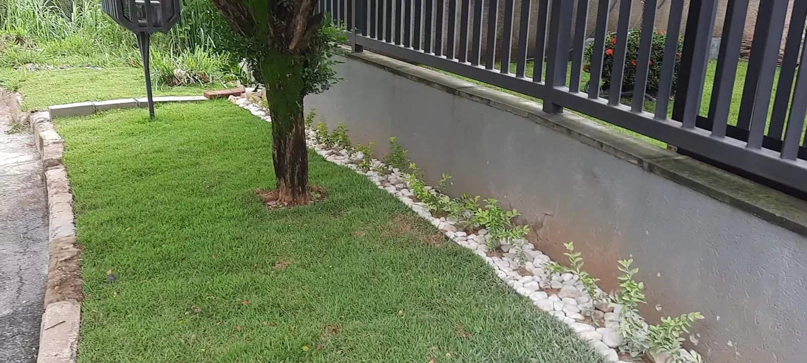 Resultado do retrofit do jardim